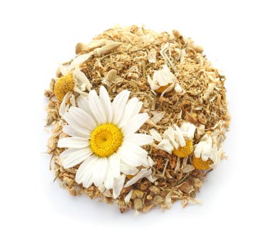 Beyaz arka plan üzerinde kurutulmuş papatya çiçeği