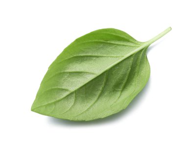 Beyaz arkaplanda taze fesleğen yaprağı