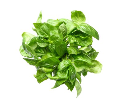 Beyaz arkaplanda taze yeşil fesleğen