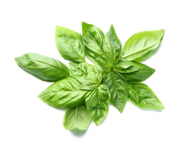 Beyaz arkaplanda taze fesleğen yaprakları