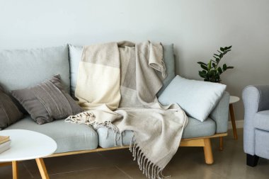 Şık kanepe ile oda modern iç