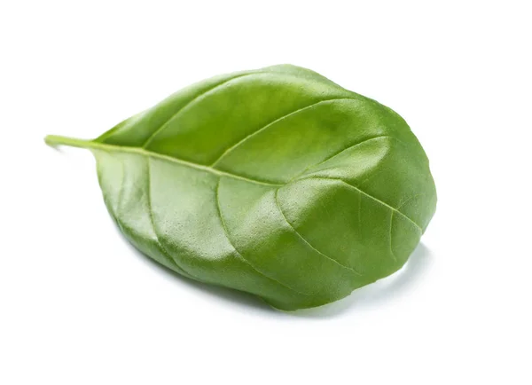 Hoja de albahaca fresca sobre fondo blanco — Foto de Stock