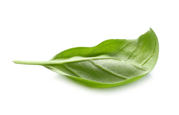 하얀 배경에 있는 신선 한 바질 잎 — 스톡 사진