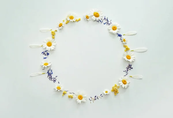 Círculo de flores sobre fondo blanco —  Fotos de Stock