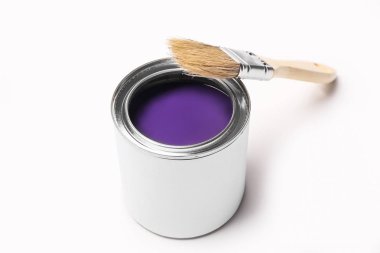 Boya ve fırça beyaz arka plan üzerinde konservesi