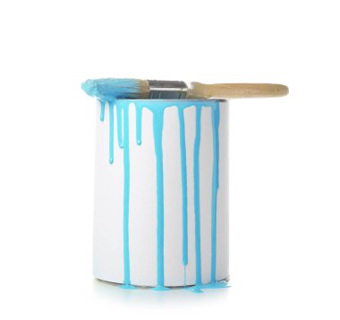 Boya ve fırça beyaz arka plan üzerinde konservesi