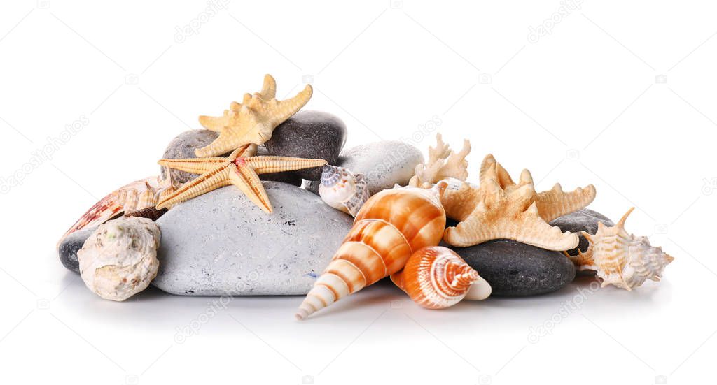 Beautiful sea shells on white background