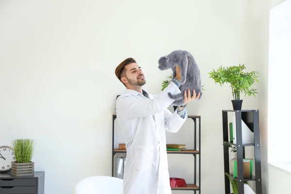 Klinikte sevimli kedi ile veterinerlik — Stok fotoğraf