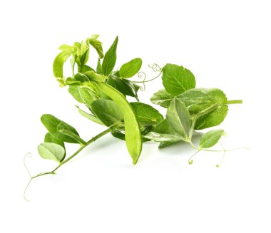 Beyaz arka planda taze bezelyeler.