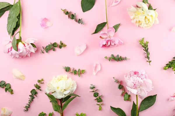 Beautiful peony flowers and leaves on color background — Stock Photo, Image