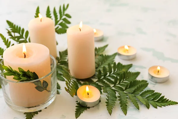 Beautiful burning candles with fern on light background — Stock Photo, Image