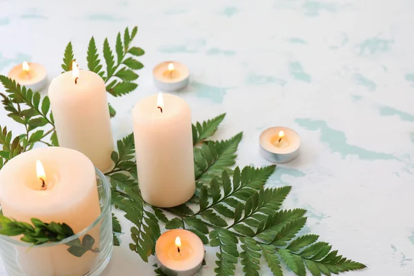 Beautiful burning candles with fern on light background — Stock Photo, Image