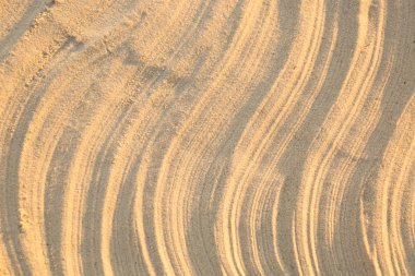 Desenle, closeup kum