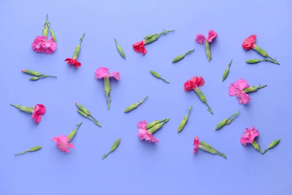 Hermosas flores sobre fondo de color — Foto de Stock