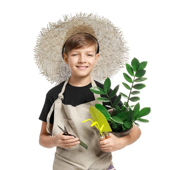 Cute little gardener on white background — Stock Photo, Image