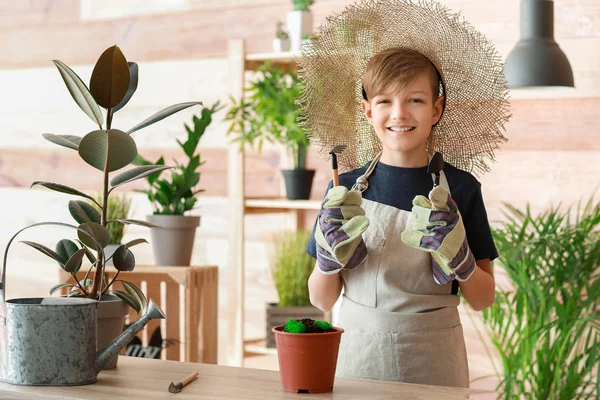 Cute little gardener with plants indoors — Stock Photo, Image