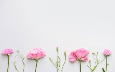 Hafif arka planda güzel taze çiçekler