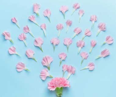 Güzel çiçek kompozisyon renk arka plan üzerinde