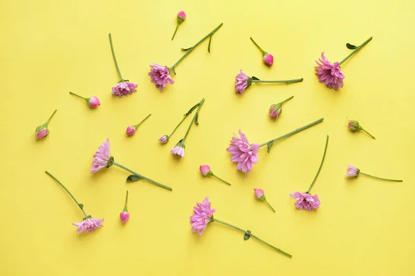 Renk arka plan üzerinde güzel taze çiçekler — Stok fotoğraf