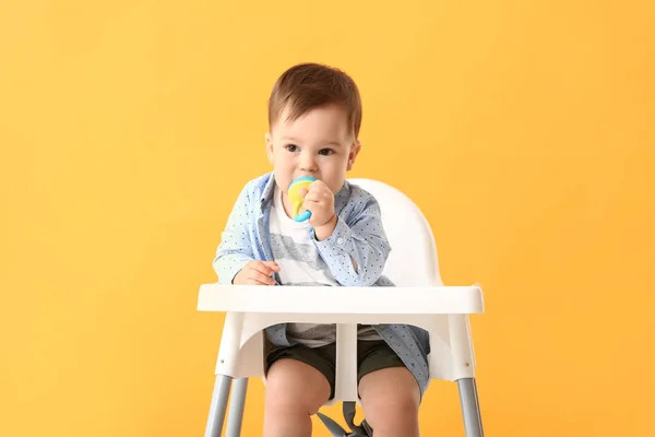 Schattige kleine jongen met Nibbler zittend in hoge stoel tegen kleur achtergrond — Stockfoto