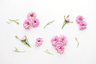 Hafif arka planda güzel taze çiçekler