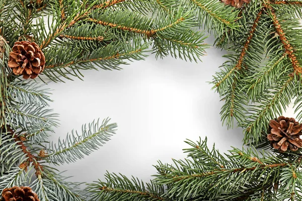 Frame made of fir tree branches on white background — Stock Photo, Image