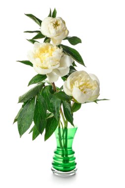 Beyaz arka planda vazo da güzel şakayık çiçekleri