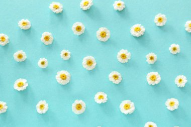 Renk arka planda birçok papatya çiçekleri