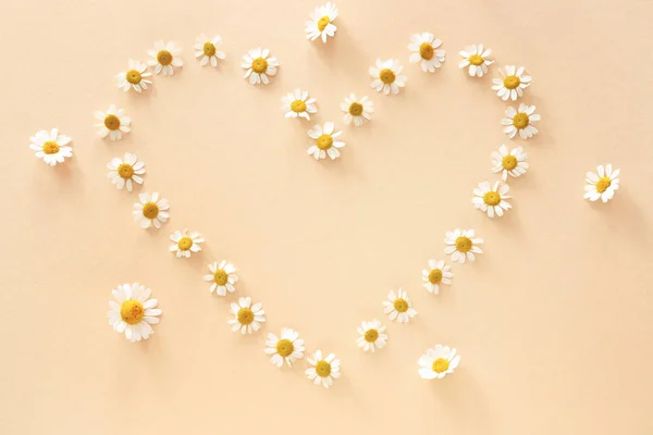 Heart made of chamomile flowers on color background — Stock Photo, Image