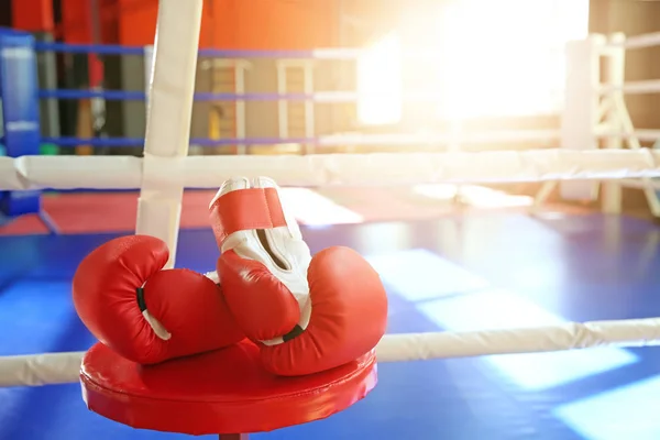 Guantes de boxeo en gimnasio moderno — Foto de Stock