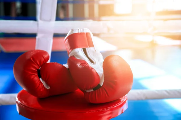 Guantes de boxeo en gimnasio moderno — Foto de Stock