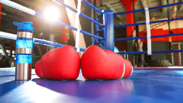 Boxing gloves on ring in gym — Stock Photo, Image
