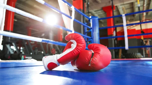 Guantes de boxeo en el ring en gimnasio — Foto de Stock
