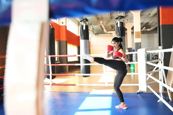 Formazione femminile di kickboxer in palestra — Foto Stock