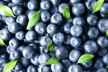 Arka plan olarak birçok olgun yaban mersini