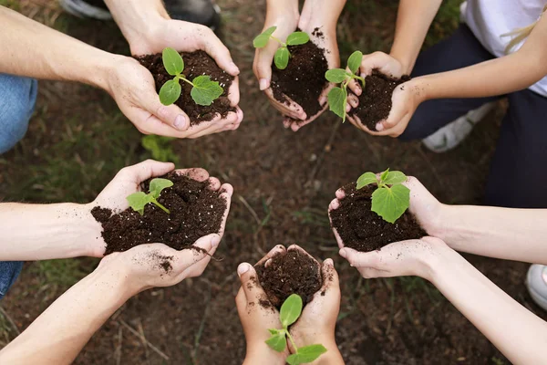 Vrijwilligers met jonge planten buitenshuis — Stockfoto
