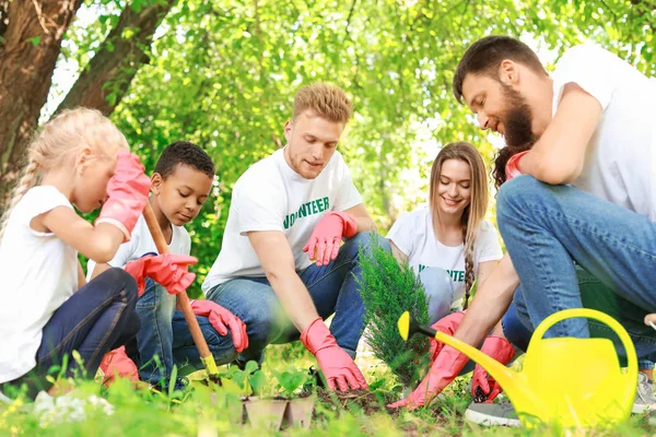 Volunteers planting tree in park — Stock Photo, Image