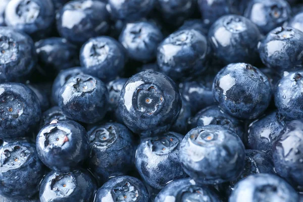 Many ripe blueberry as background — Stock Photo, Image