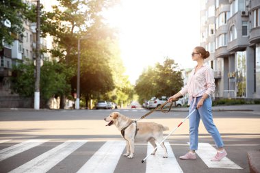 Rehber köpek ile genç kör kadın yol geçiş