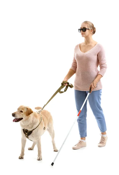 Ung blind kvinna med ledarhund på vit bakgrund — Stockfoto
