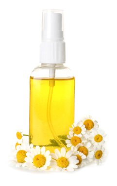 Beyaz arka plan üzerinde papatya çiçeği ile uçucu yağ şişe