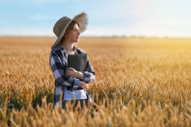 Güneşli günde tarlada çiftçi