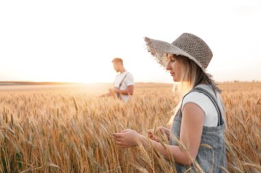 Güneşli alan çiftçilerin