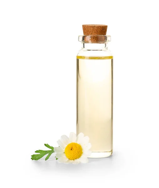 Botella de aceite esencial con flor de manzanilla sobre fondo blanco —  Fotos de Stock
