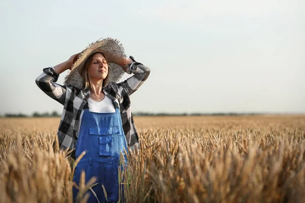 Farmář v terénu za slunečného dne — Stock fotografie