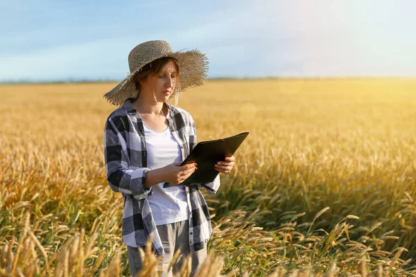 Farmář v terénu za slunečného dne — Stock fotografie