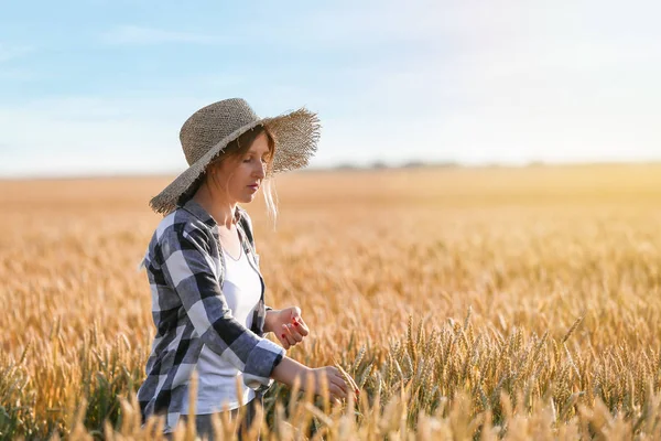 Farmář v terénu za slunečného dne — Stock fotografie