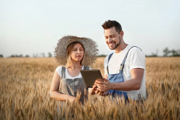 Farmers in field on sunny day — Stock Photo, Image