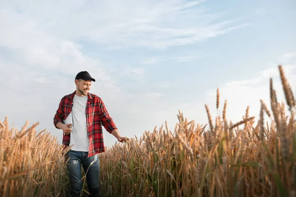 Farmer in field on sunny day — Stock Photo, Image