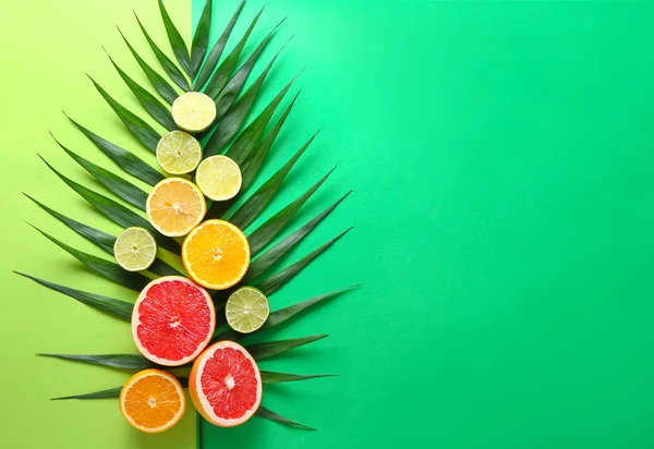 Many different citrus fruits and palm leaf on color background — Stock Photo, Image